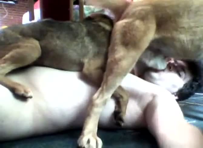Dog hump porn Anal orgasam