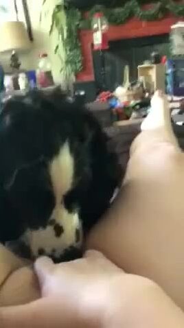 Dog lick women pussy Alouette webcam
