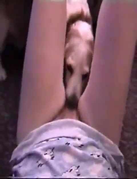 Dog lick women pussy Fizzarolli x asmodeus porn