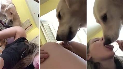 Dog licks pussy porn Porn korea hd