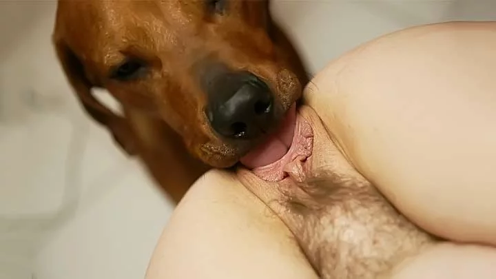 Dog licks pussy porn Sana porn