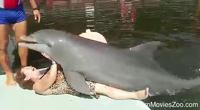 Dolphin porn video Jayden james threesom
