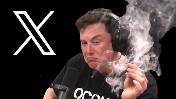 Elon go fuck yourself gif Desiresfm porn
