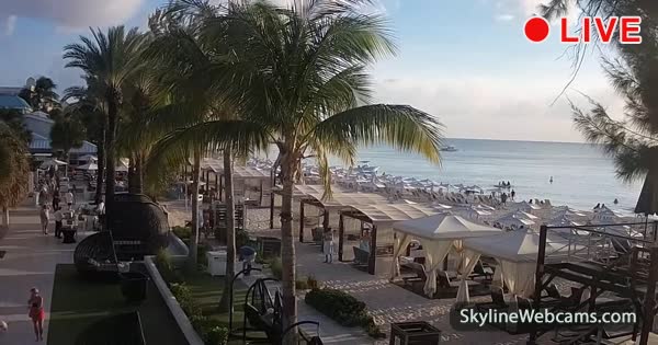 Grand cayman island webcams Make love adult
