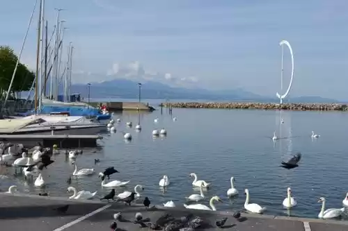 Gull lake marina webcam Threesome slang