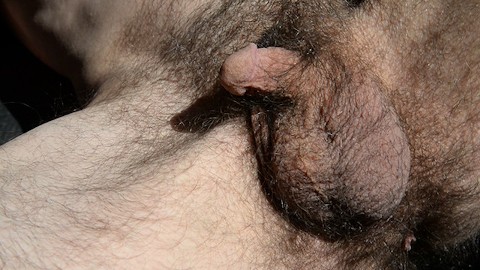 Hairy close up porn Trans escort milano