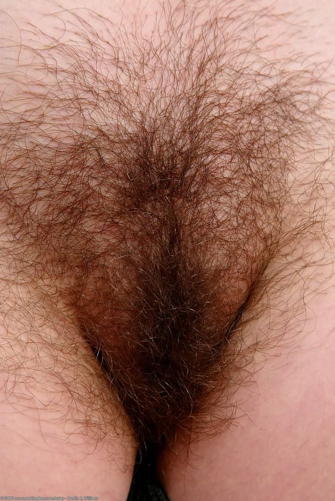 Hairy close up porn Dildo man porn