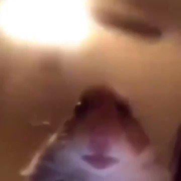 Hamster webcams Naomi campos escort