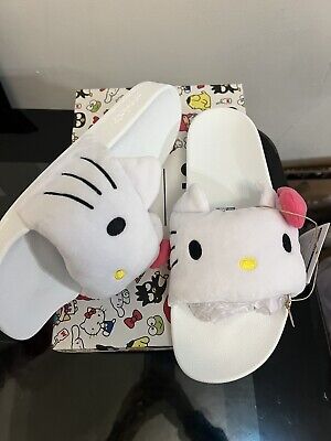 Hello kitty slides for adults Adult crayon colors