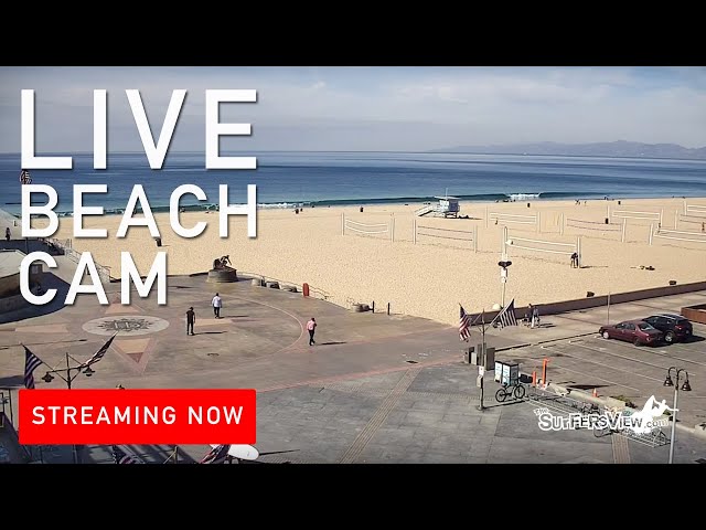 Hermosa beach ca webcam Ai bukkake porn