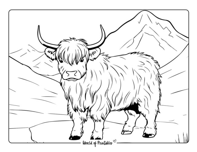 Highland cow coloring pages for adults Adult mabel pines