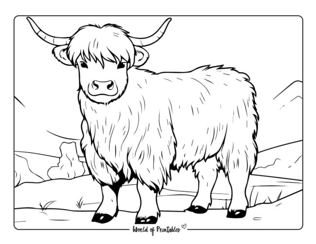 Highland cow coloring pages for adults Digital playground cheerleaders porn