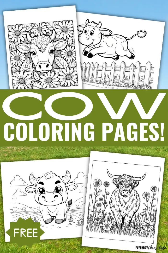 Highland cow coloring pages for adults Wow_dream porn
