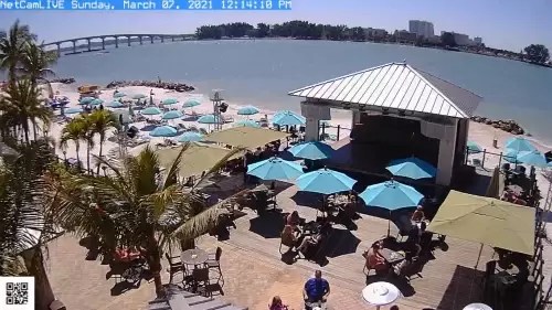 Hilton clearwater beach webcam Slim milf anal