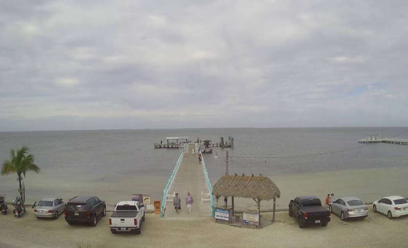 Hilton clearwater beach webcam Curlyrican xxx