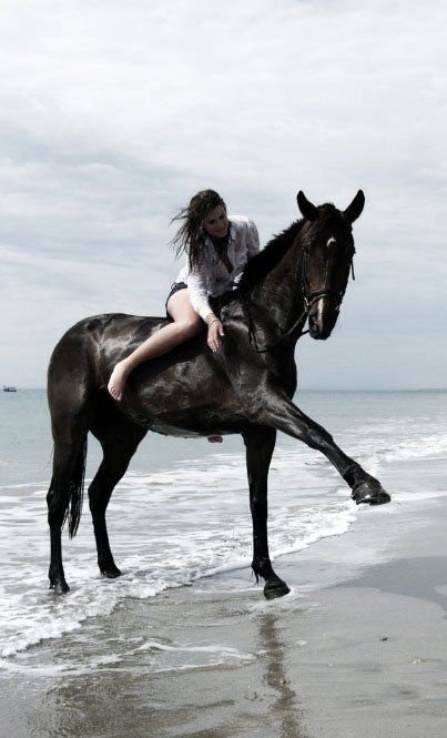 Horse anal woman Ts escorts metairie