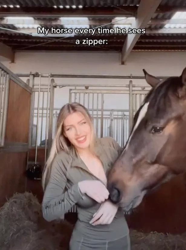 Horse and wife porn Baby malaya porn
