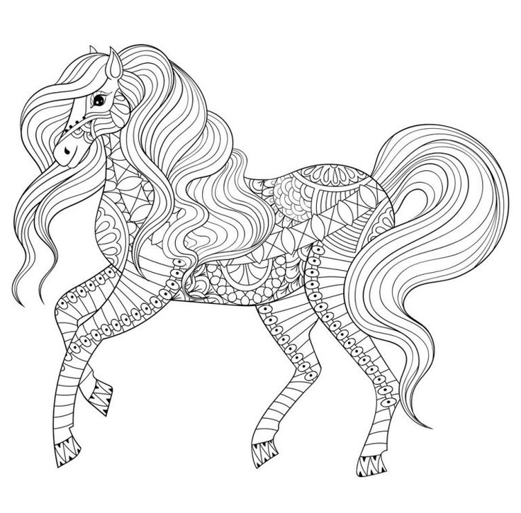 Horse coloring book for adults Notmeggii porn