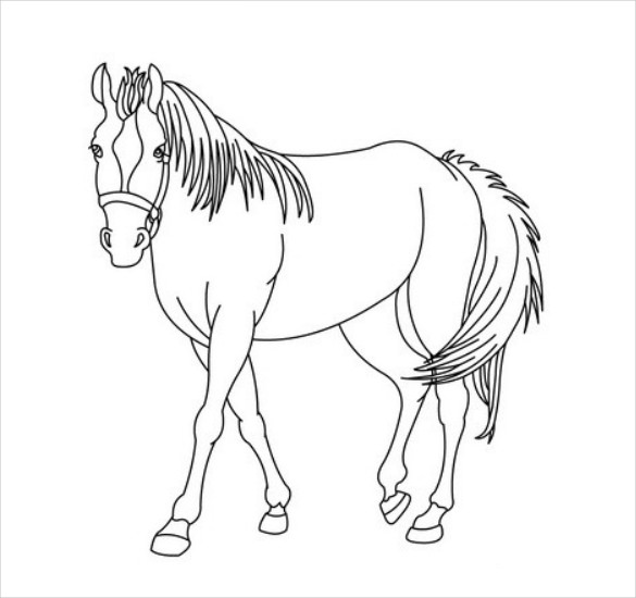 Horse coloring pages for adults pdf Msjuicypear porn