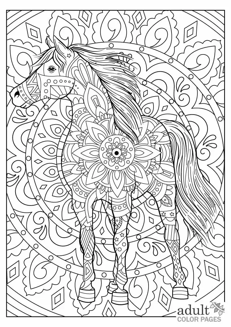 Horse coloring pages for adults pdf Fuck boy hair