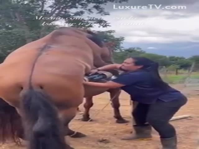Horse cumming porn Marintwins porn