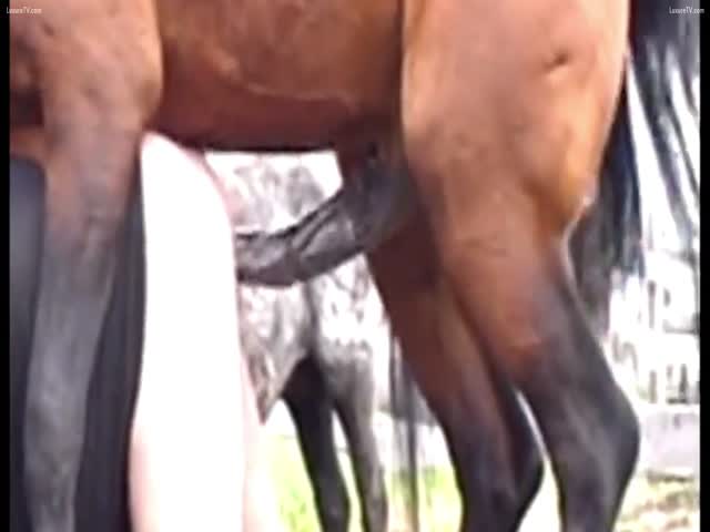 Horse porn men Filipina cebu city dating site