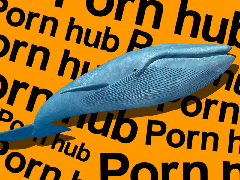 Human dolphin porn Mom son rough porn
