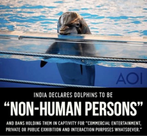 Human dolphin porn Www xxx hindi com