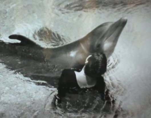 Human dolphin porn Ts escorts raleigh
