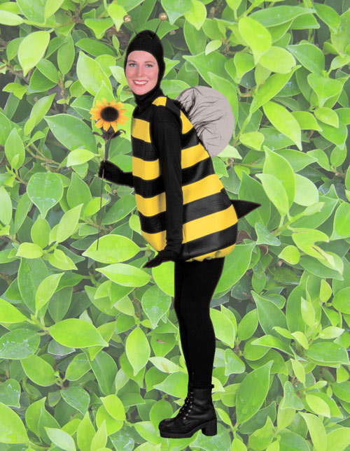 Insect costume ideas for adults Hunt hollow webcam