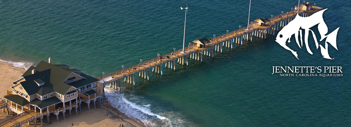 Jennette s pier outer banks webcam Webcams ocean city md boardwalk