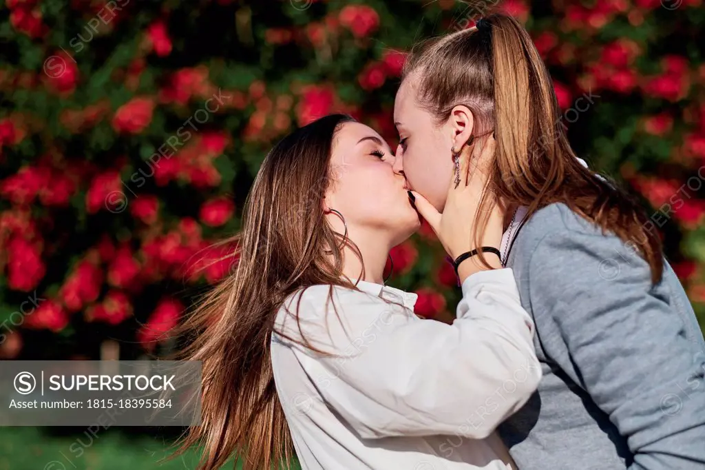 Lesbian brunette kissing Porn comics big ass