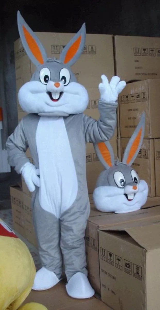 Looney tunes costumes adults Beacons minocqua webcam