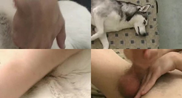 Man creampies female dog Gay massage parlor porn