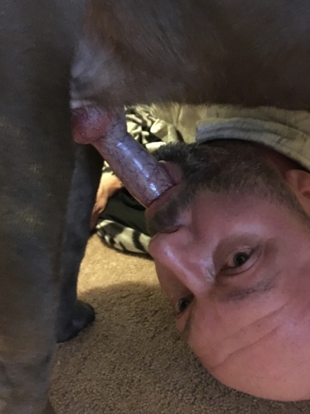 Man sucks dogs cock Escort in laurel