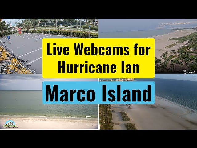 Marco island webcam marriott Rear pussy pic