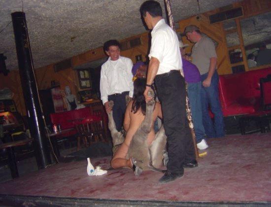 Mexico donkey show porn Gay escorts in dallas