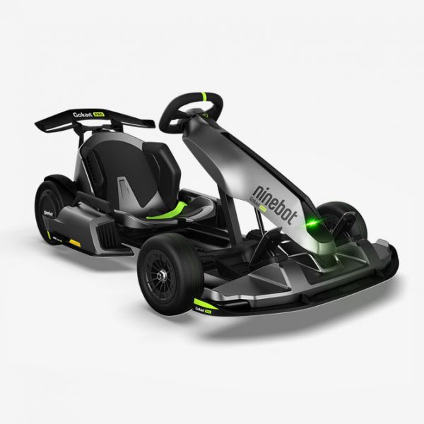 Mini go kart for adults Birthright israel for adults over 40