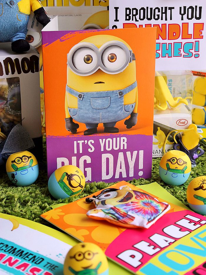 Minion gifts for adults Innocam webcam