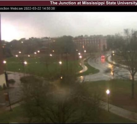 Mississippi state university webcam Ai generated tentacle porn