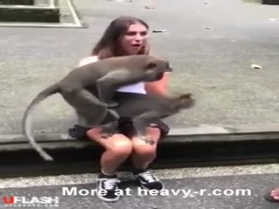 Monkey with woman porn Blacked porn full free