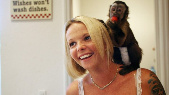 Monkey with woman porn Pornos en mini faldas
