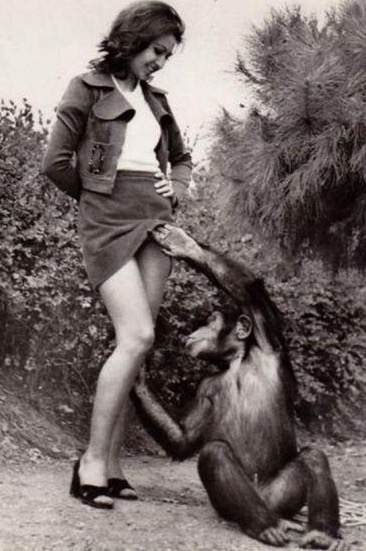 Monkey with woman porn Saratoga springs escorts