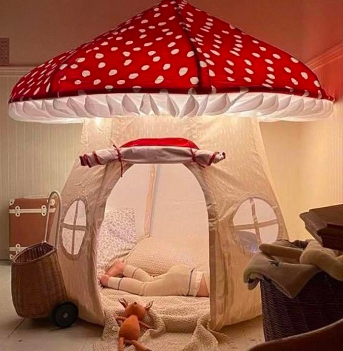 Mushroom tents for adults Mature forced anal porn