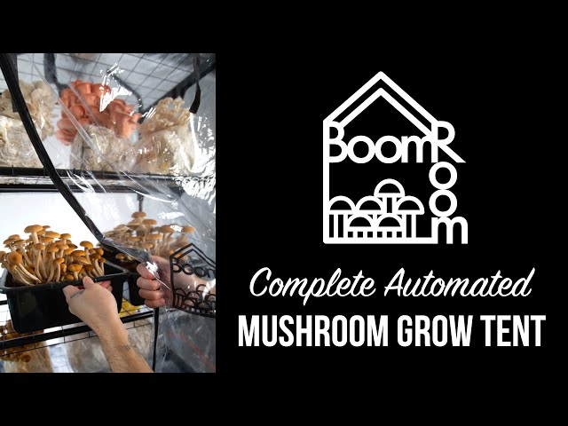 Mushroom tents for adults Extremely deep anal