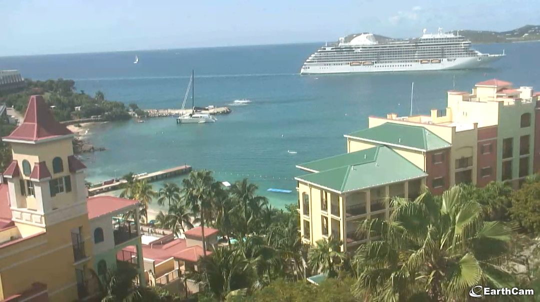 New orleans cruise webcam Blu diamond porn