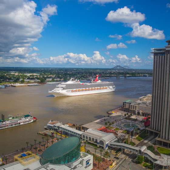 New orleans cruise webcam Anal porn gallery