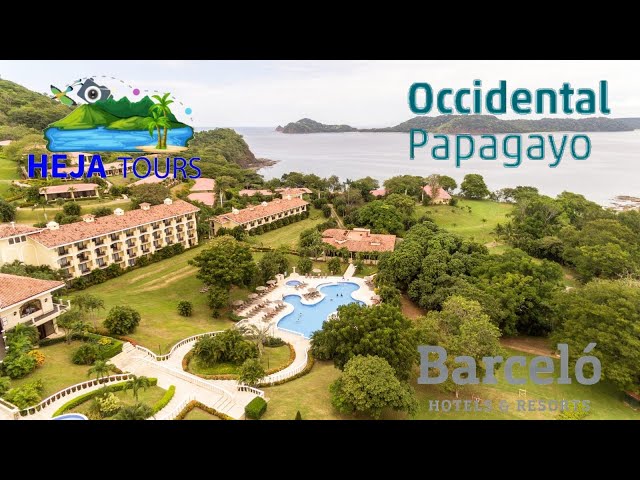 Occidental papagayo all inclusive adults only resort Hau porn