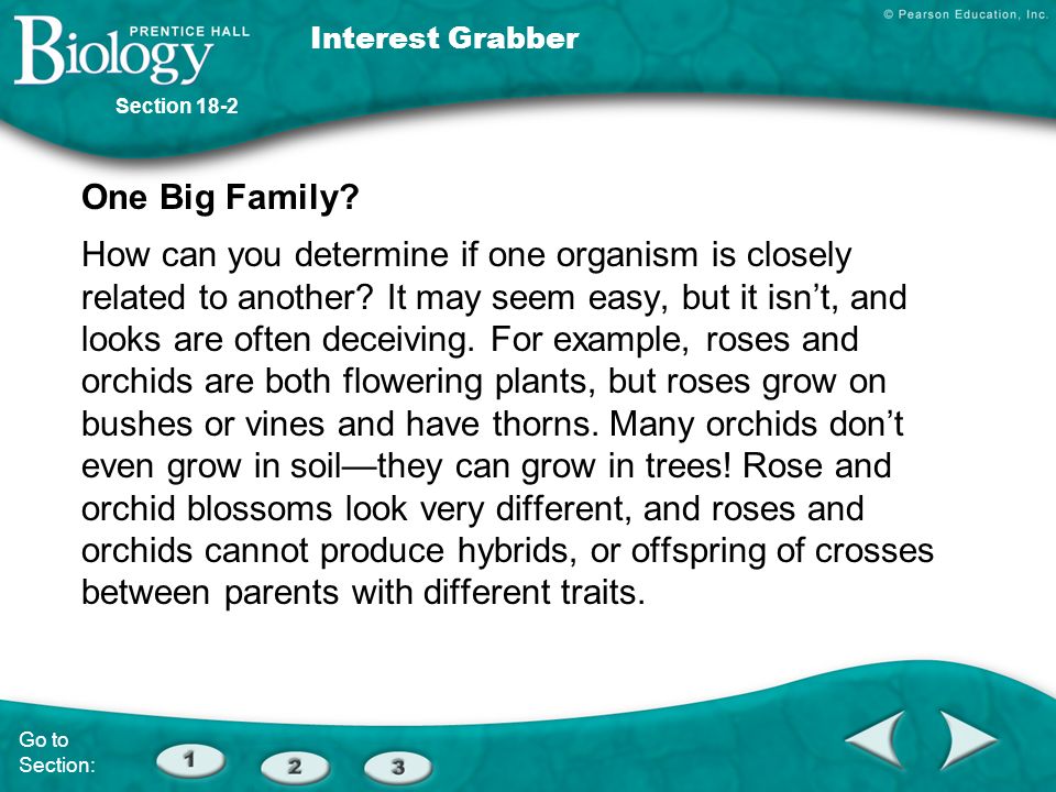 Organelle dating profile Jelzy porn