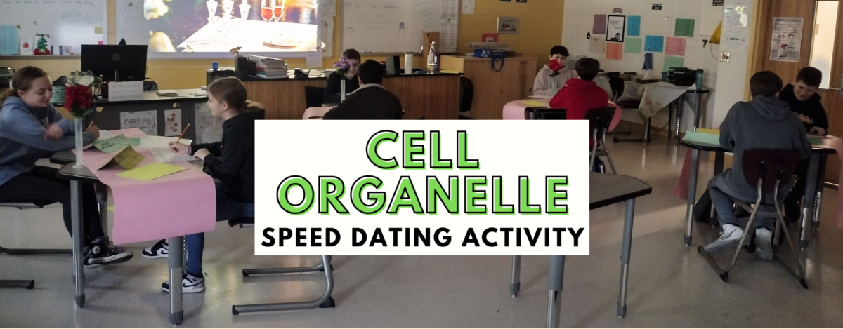 Organelle dating profile Foot fetish live cams